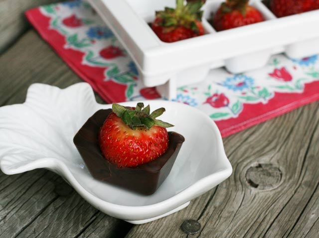 Chocolate-covered strawberries, made in an ice cube tray. Just 2 ingredients! Repin to save.