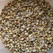 How to make lentils