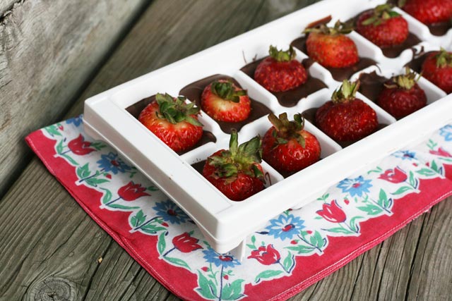 Chocolate strawberries in an ice cube tray: The easiest way to make chocolate-covered strawberries!