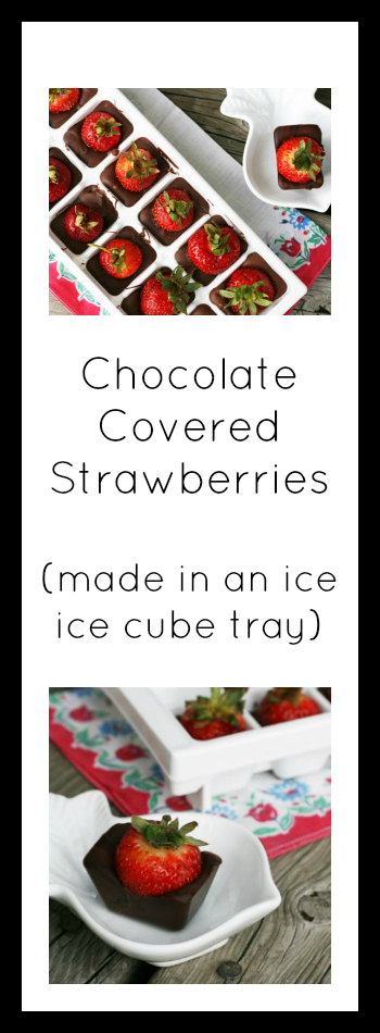Chocolate-covered strawberries (made in an ice cube tray). Click through for instructions!