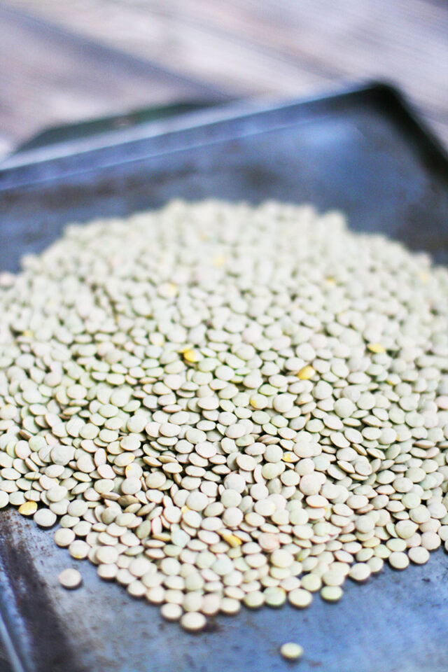 Learn how to sort lentils, and make the perfect batch of cooked lentils.