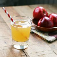 Homemade apple soda recipe, from Cheap Recipe Blog