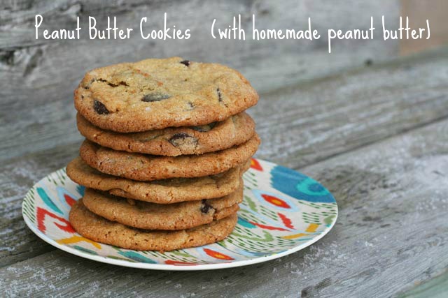 Peanut butter cookies (with homemade peanut butter!) recipe, from Cheap Recipe Blog