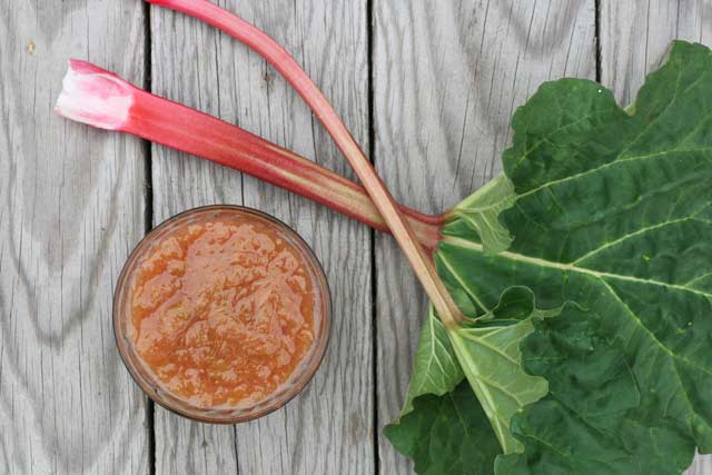 Cooked rhubarb sauce, from Cheap Recipe Blog