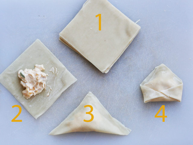 How to make mango chicken wontons, from Cheap Recipe Blog