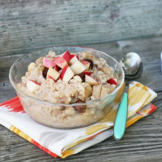 Slow cooker apple oatmeal, feed 4 people for less than $10 a day!