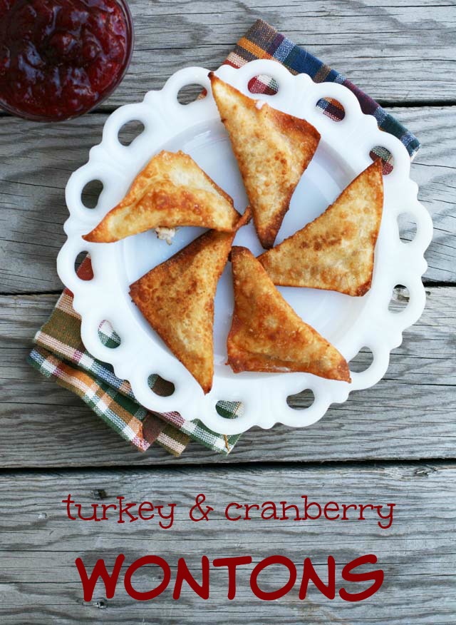 Use leftover turkey & cranberries to make these delicious wontons. Repin to save!