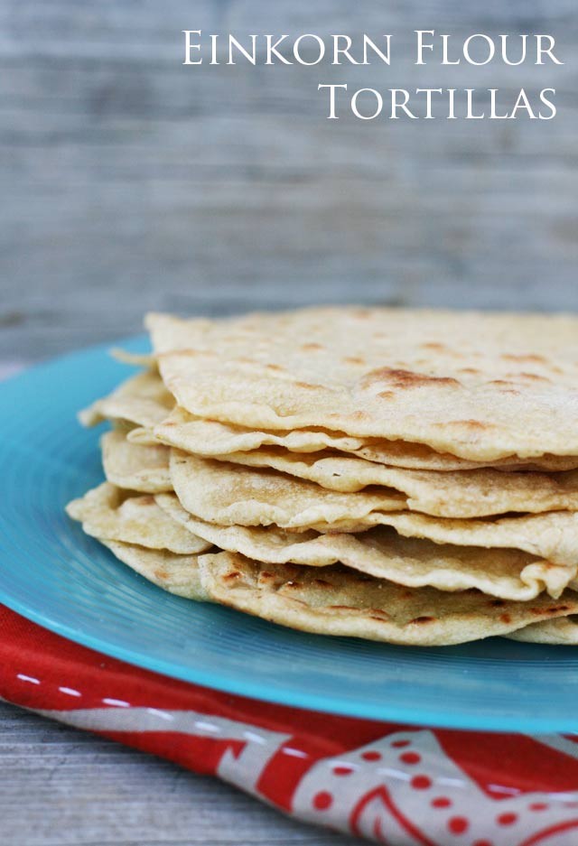 Homemade tortillas, made with einkorn flour. Easy to make. Click through for recipe!