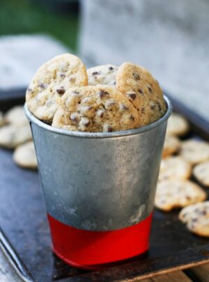 Mini Chocolate Chip Cookies