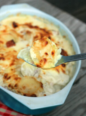 Extra Creamy Scalloped Potatoes And Ham (The Curdle-Free Recipe)