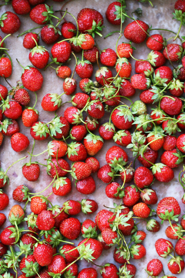 Got strawberries? Here are 50+ cheap strawberry recipes to consider trying!